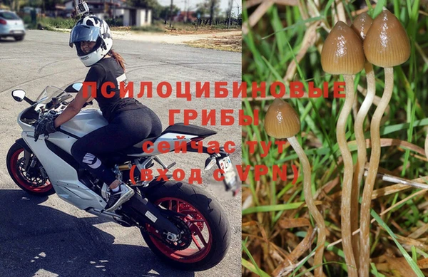 таблы Горняк