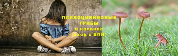 таблы Горняк