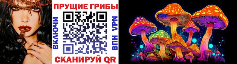 Псилоцибиновые грибы GOLDEN TEACHER Приморск