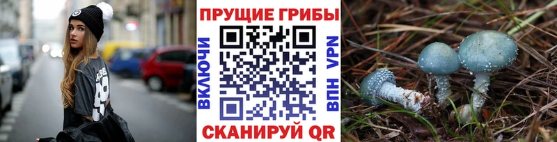 Галлюциногенные грибы мухоморы  Купить где  Приморск 